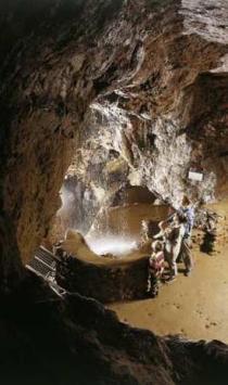 A Historic Tour of Royal Forest of Dean