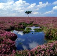 A Historic Tour of North York Moors National Park