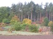 Marks Hall gardens and Arboretum, Coggeshall