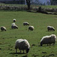 National Museum of Rural Life, East Kilbride