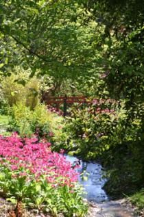 Batsford Arboretum, Bourton-on-the-Water