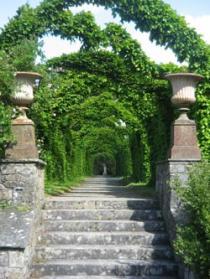 Birr Castle Demesne , Birr