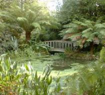 Trengwainton Garden<br>NATIONAL TRUST, Penzance