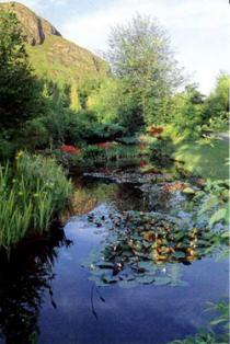 Attadale Gardens, Ross-shire