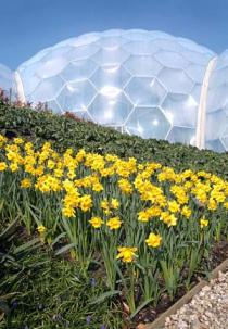 Eden Project, St Austell